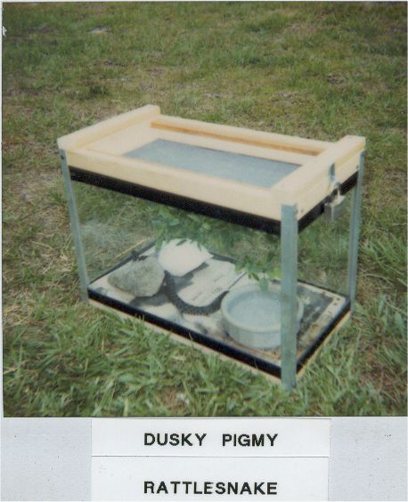 Pigmy Cage.jpg [50 Kb]